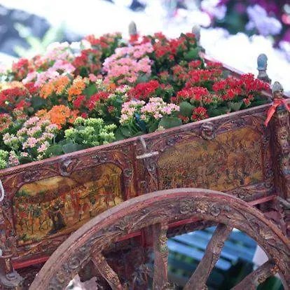 Lantgård Il Sole E Il Sale *