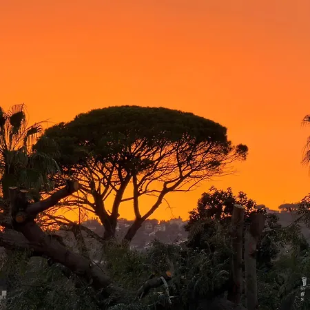 Il Sole E Il Sale Lantgård *